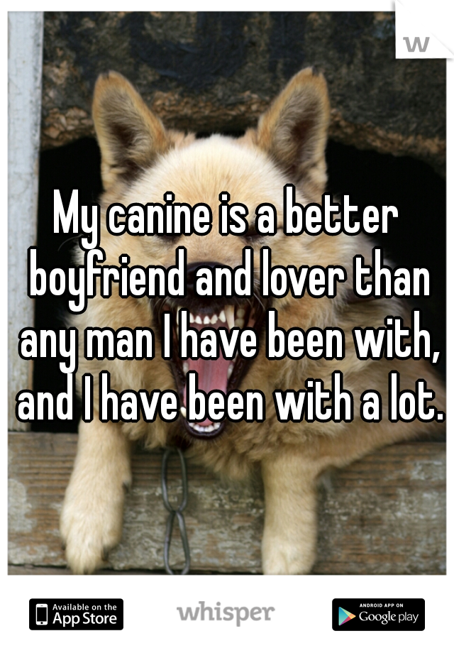 My canine is a better boyfriend and lover than any man I have been with, and I have been with a lot.