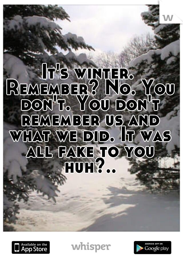 It's winter. Remember? No. You don't. You don't remember us and what we did. It was all fake to you huh?..