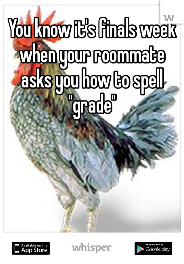 You know it's finals week when your roommate asks you how to spell "grade" 