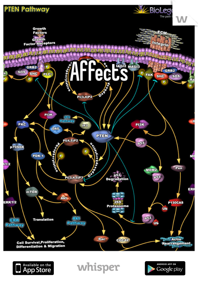Affects 