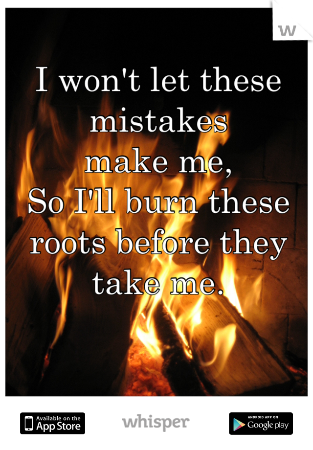 I won't let these mistakes 
make me,
So I'll burn these roots before they take me.