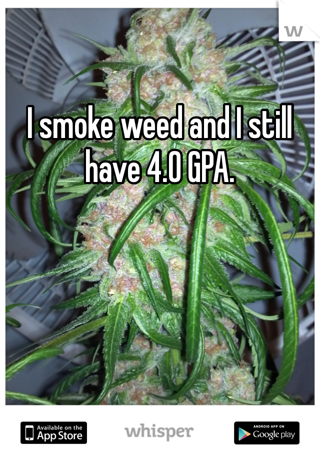 I smoke weed and I still have 4.0 GPA. 