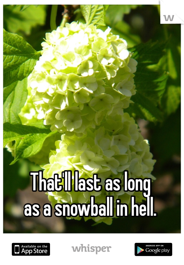 That'll last as long 
as a snowball in hell. 