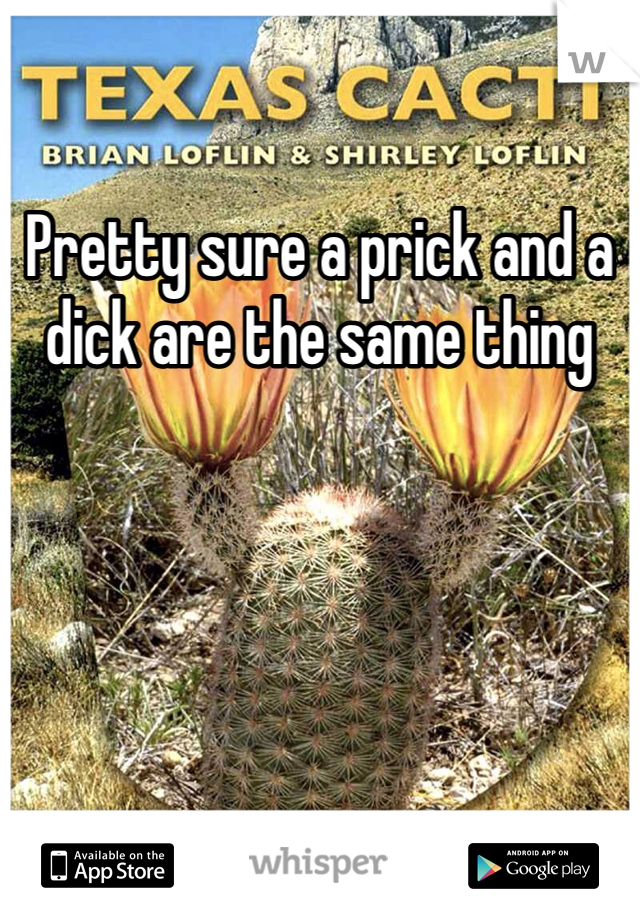 Pretty sure a prick and a dick are the same thing