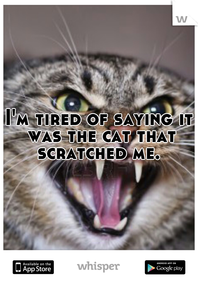 I'm tired of saying it was the cat that scratched me. 