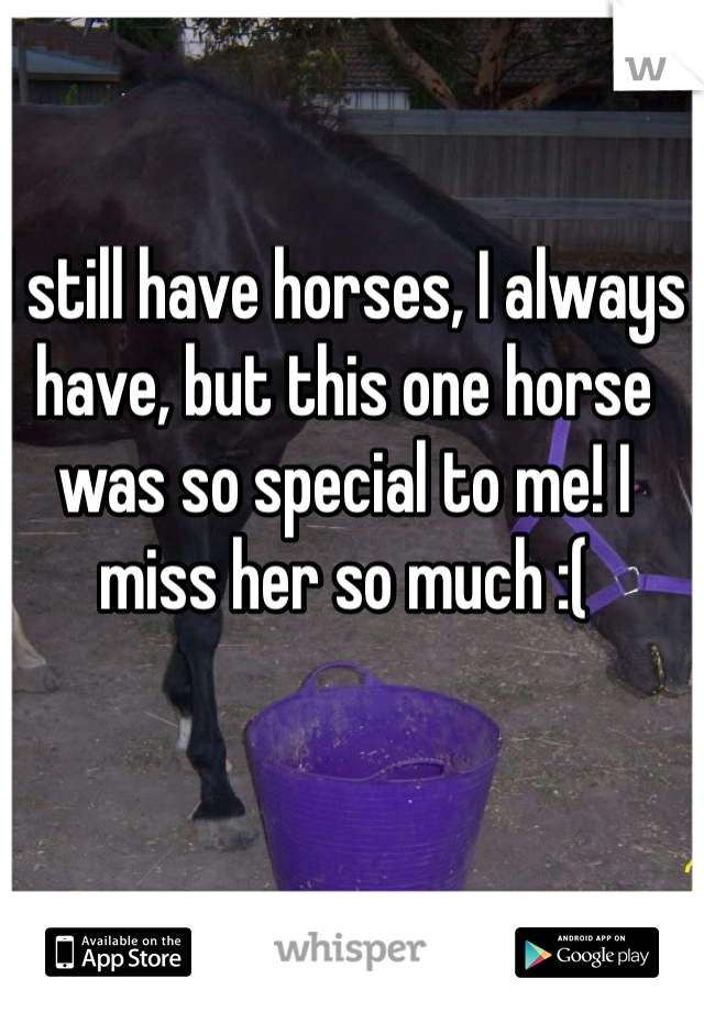 I still have horses, I always have, but this one horse was so special to me! I miss her so much :(