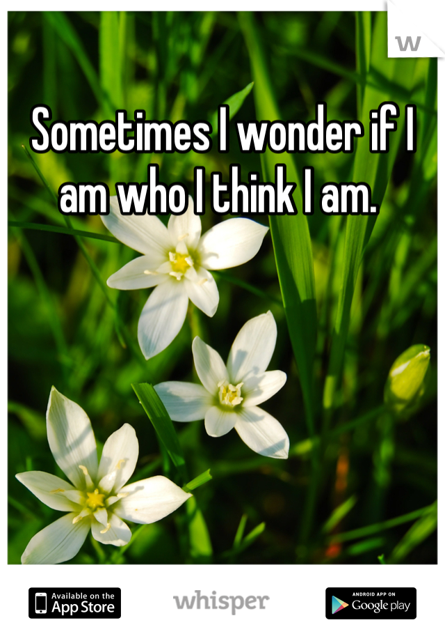 Sometimes I wonder if I am who I think I am. 