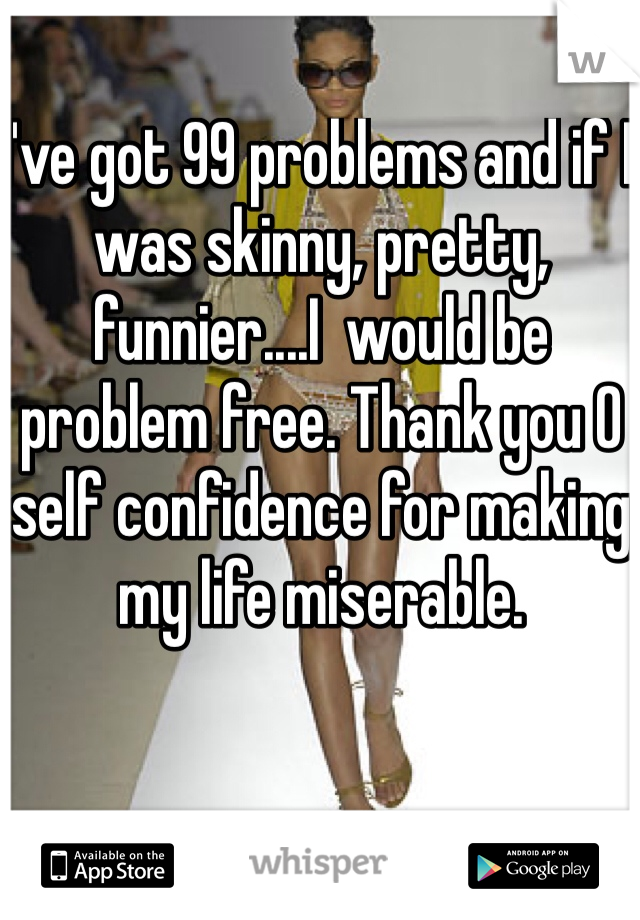 I've got 99 problems and if I was skinny, pretty, funnier....I  would be problem free. Thank you 0 self confidence for making my life miserable. 