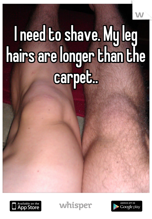 I need to shave. My leg hairs are longer than the carpet..