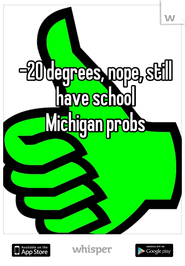 -20 degrees, nope, still have school
Michigan probs