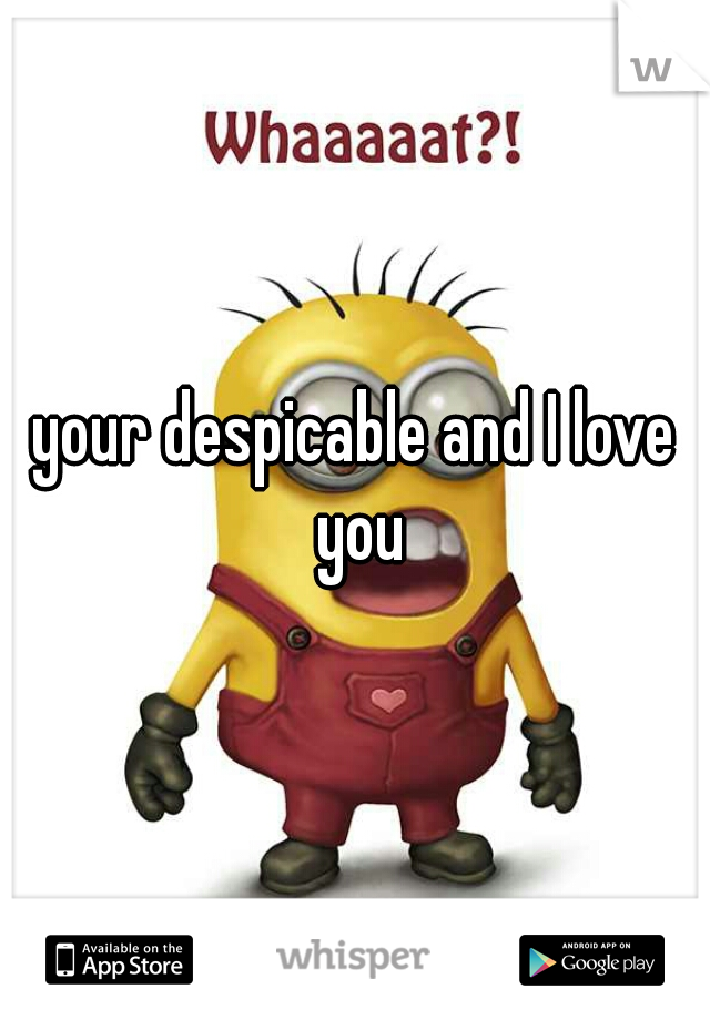 your despicable and I love you