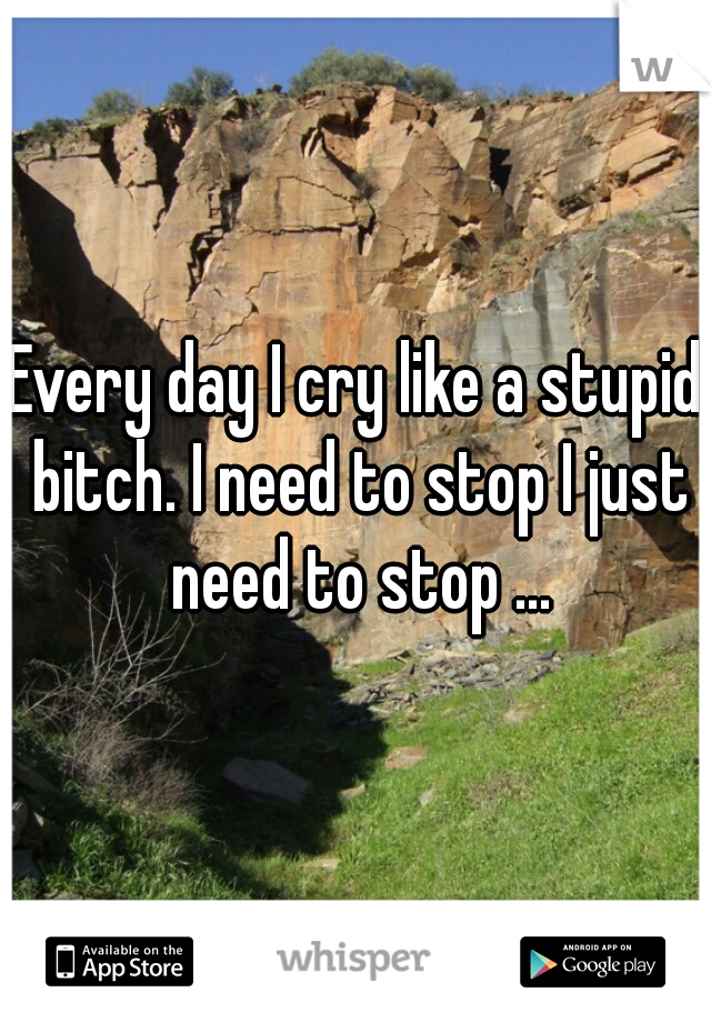 Every day I cry like a stupid bitch. I need to stop I just need to stop ...