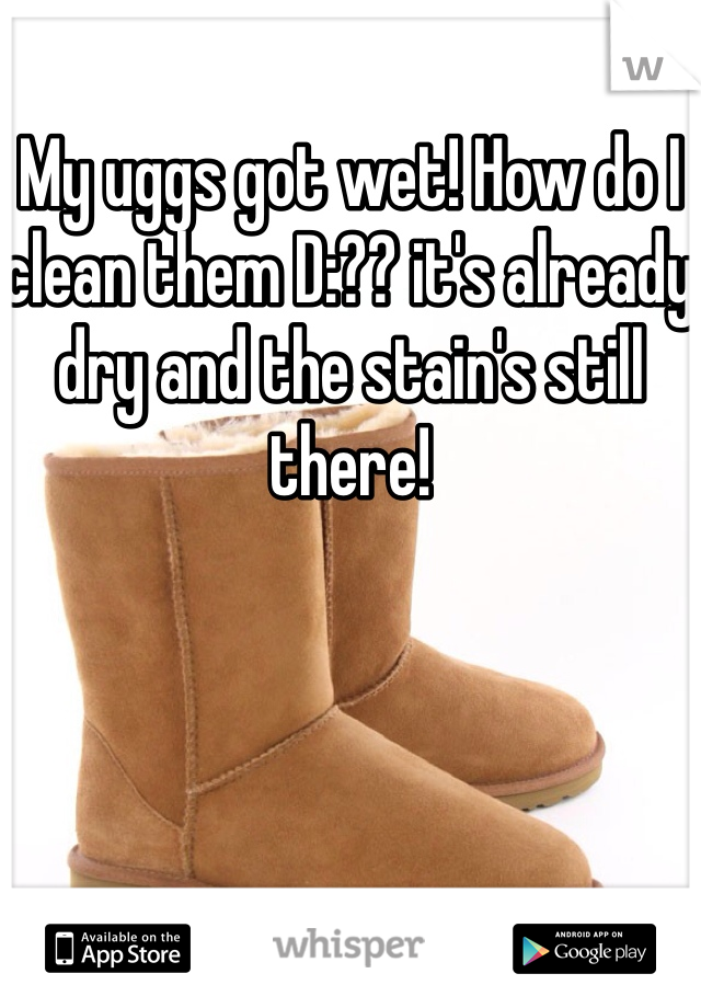 My uggs got wet! How do I clean them D:?? it's already dry and the stain's still there!