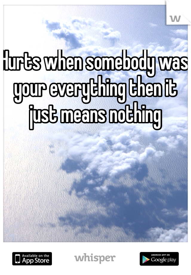 Hurts when somebody was your everything then it just means nothing  
