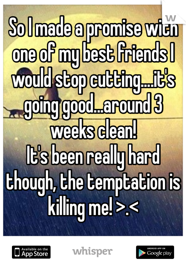 So I made a promise with one of my best friends I would stop cutting....it's going good...around 3 weeks clean! 
It's been really hard though, the temptation is killing me! >.< 