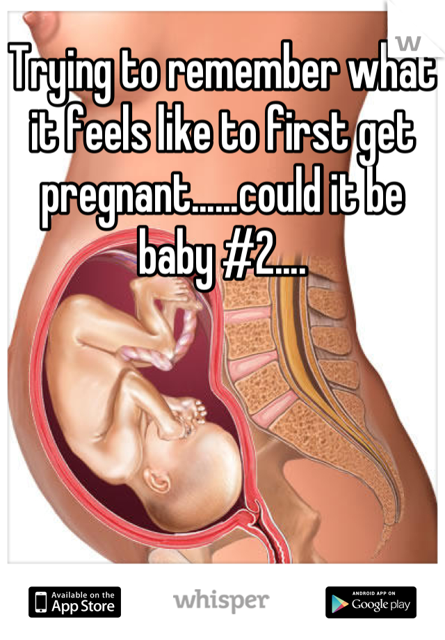 Trying to remember what it feels like to first get pregnant......could it be baby #2....