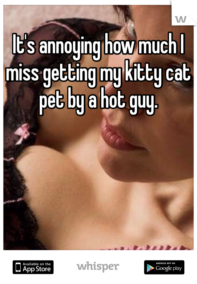It's annoying how much I miss getting my kitty cat pet by a hot guy.