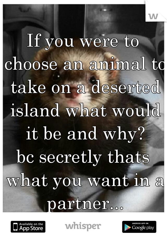 If you were to choose an animal to take on a deserted island what would it be and why?
bc secretly thats what you want in a partner...