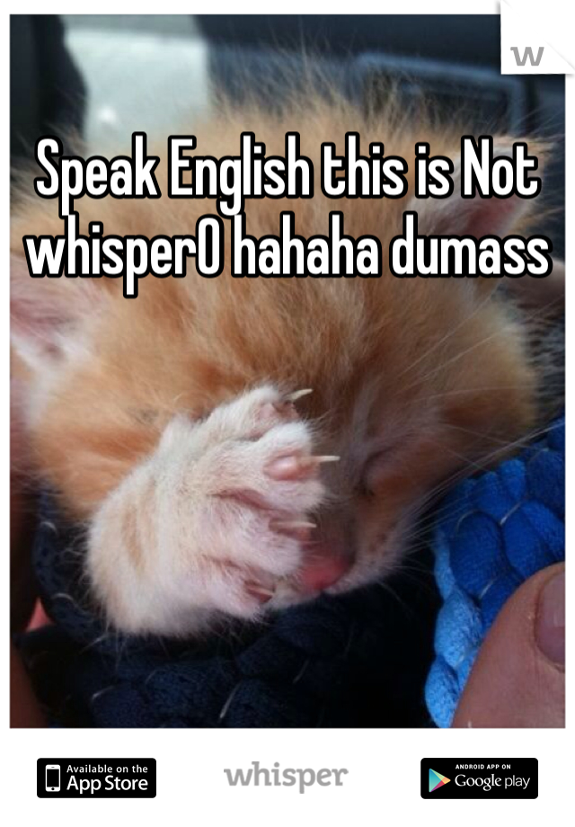Speak English this is Not whisperO hahaha dumass