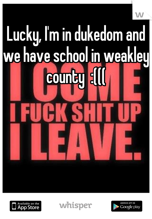 Lucky, I'm in dukedom and we have school in weakley county  :(((