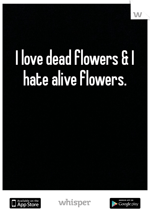 I love dead flowers & I hate alive flowers. 
