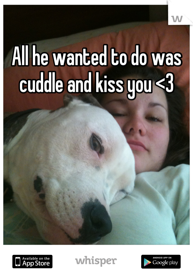 All he wanted to do was cuddle and kiss you <3