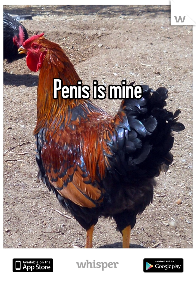 Penis is mine 