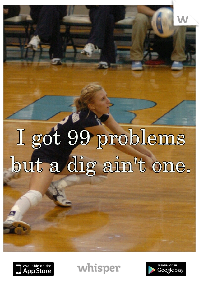 I got 99 problems but a dig ain't one. 