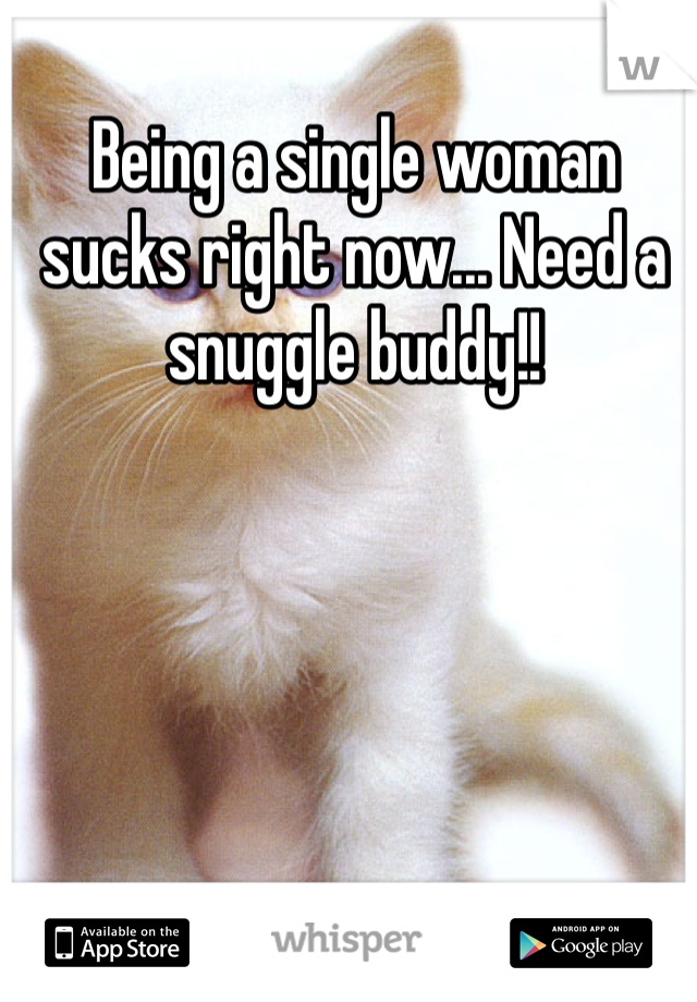 Being a single woman sucks right now... Need a snuggle buddy!!