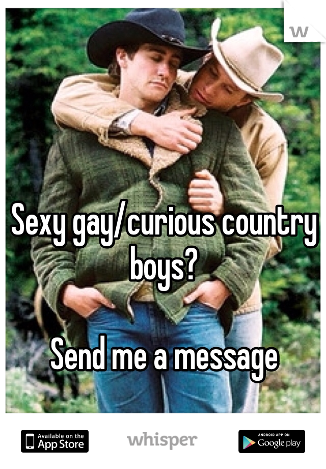 Sexy gay/curious country boys?

Send me a message