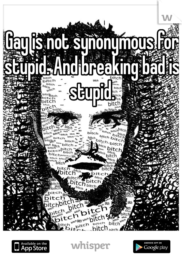 Gay is not synonymous for stupid. And breaking bad is stupid. 