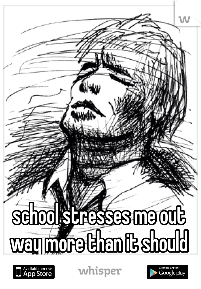 school stresses me out way more than it should 