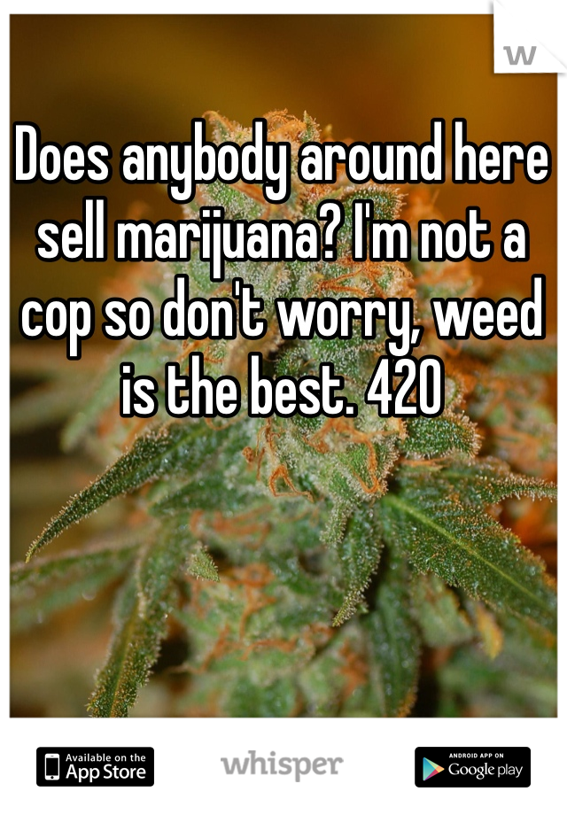 Does anybody around here sell marijuana? I'm not a cop so don't worry, weed is the best. 420