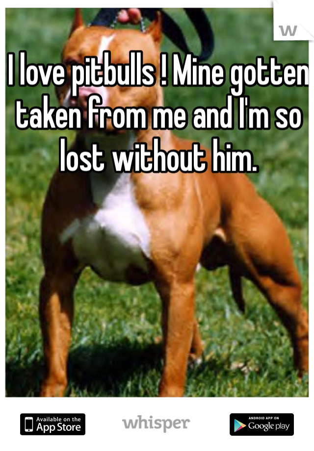 I love pitbulls ! Mine gotten taken from me and I'm so lost without him.