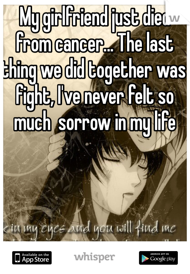My girlfriend just died from cancer... The last thing we did together was fight, I've never felt so much  sorrow in my life