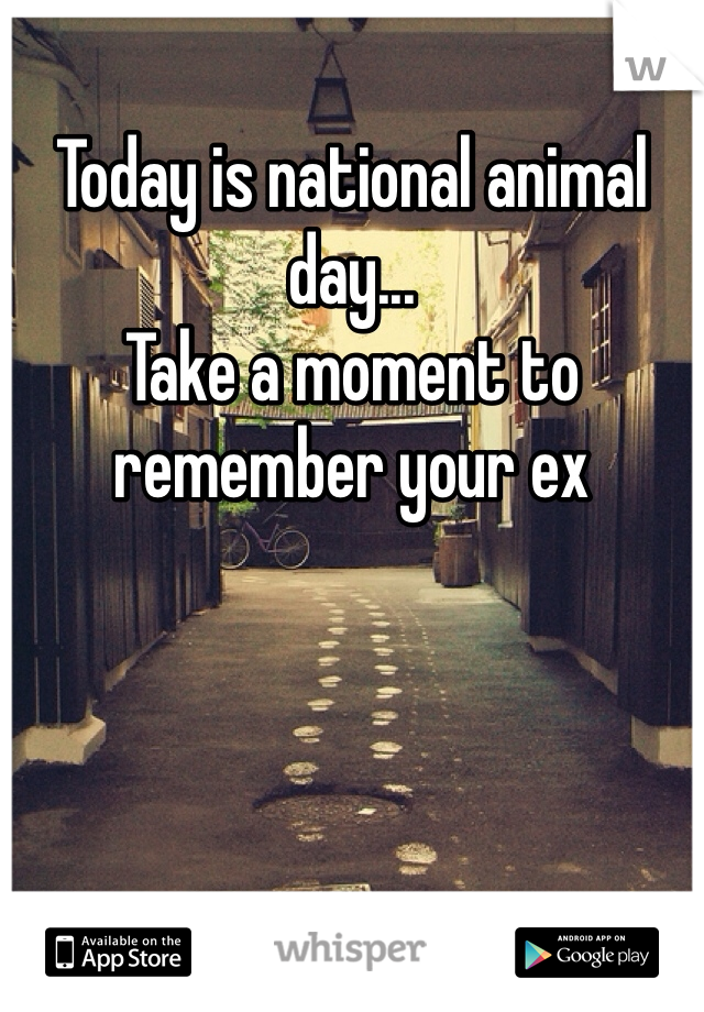 Today is national animal day...
Take a moment to remember your ex