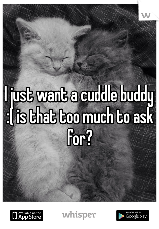 I just want a cuddle buddy :( is that too much to ask for?