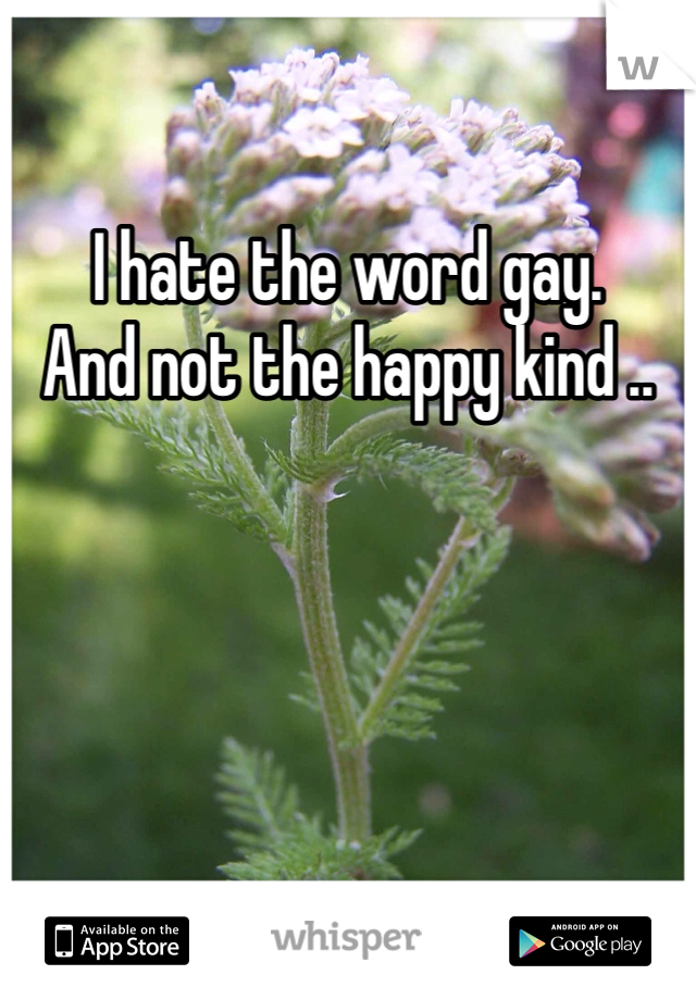 I hate the word gay. 
And not the happy kind ..