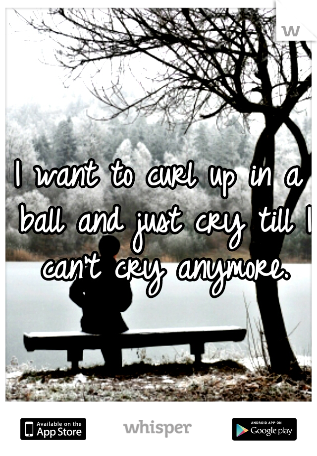 I want to curl up in a ball and just cry till I can't cry anymore.