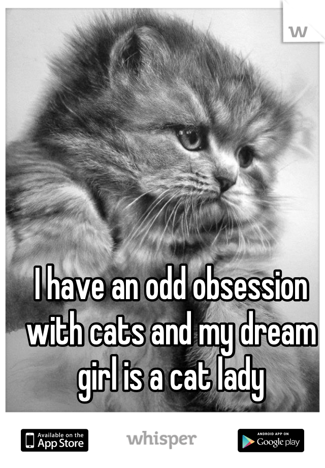 I have an odd obsession with cats and my dream girl is a cat lady