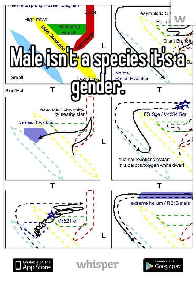Male isn't a species it's a gender.