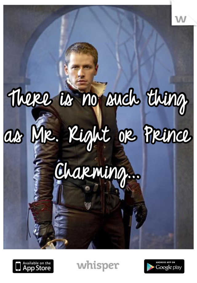 There is no such thing as Mr. Right or Prince Charming...
