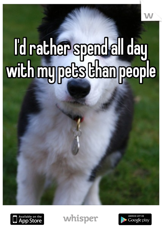I'd rather spend all day with my pets than people
