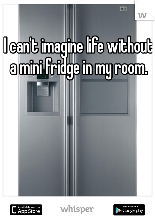 I can't imagine life without a mini fridge in my room. 