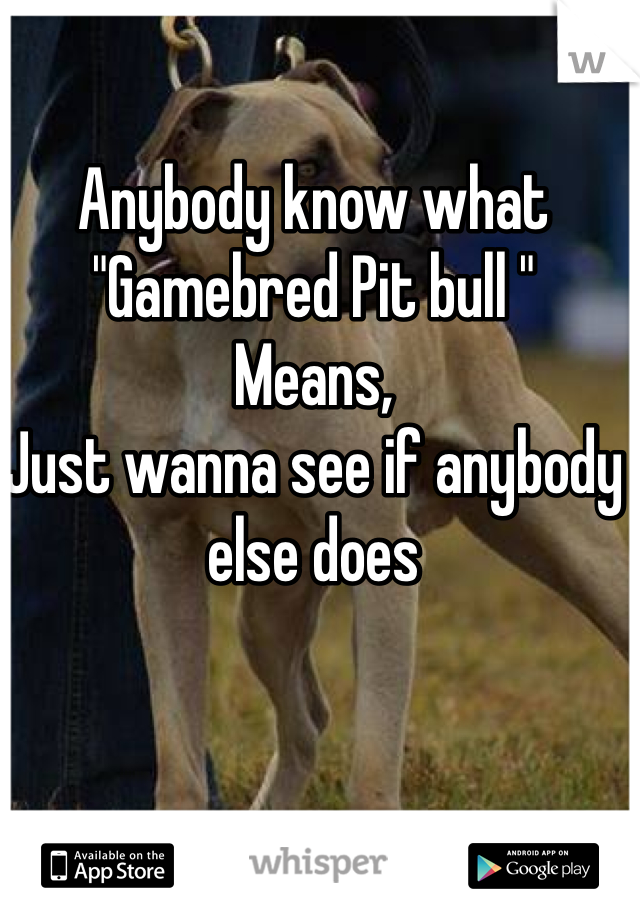Anybody know what 
"Gamebred Pit bull "
Means,
Just wanna see if anybody else does