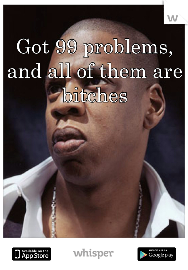 Got 99 problems, and all of them are bitches 