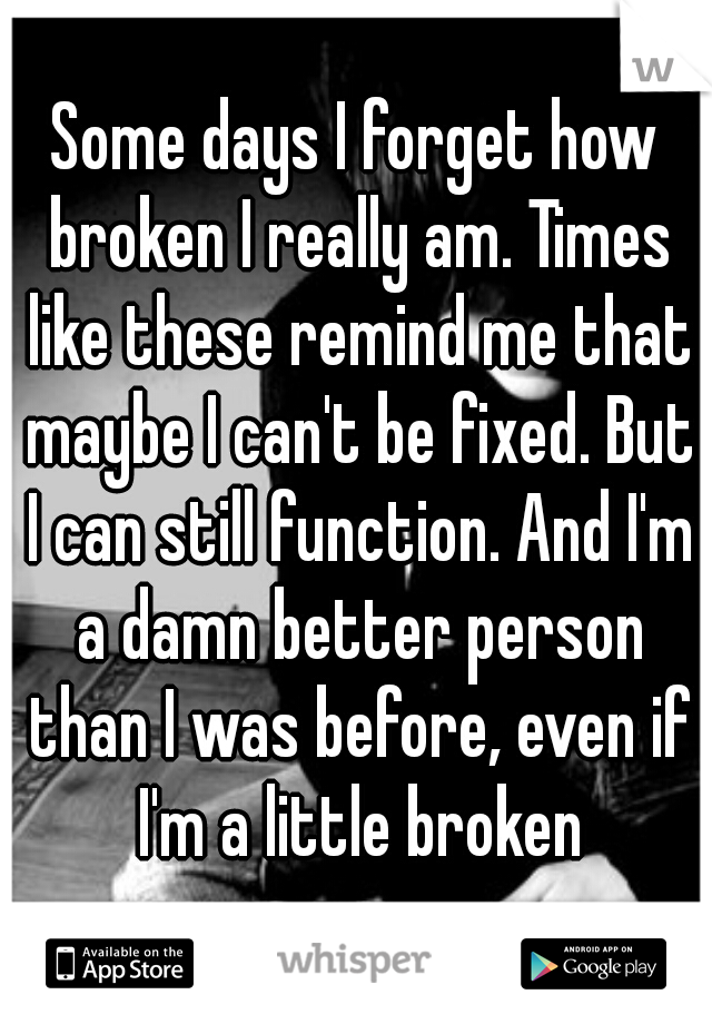 Some days I forget how broken I really am. Times like these remind me that maybe I can't be fixed. But I can still function. And I'm a damn better person than I was before, even if I'm a little broken
