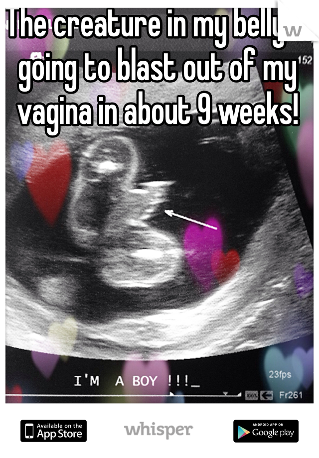 The creature in my belly is going to blast out of my vagina in about 9 weeks!