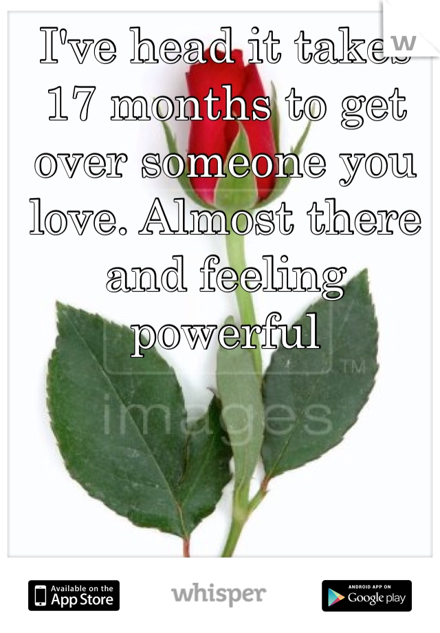 I've head it takes 17 months to get over someone you love. Almost there and feeling powerful 