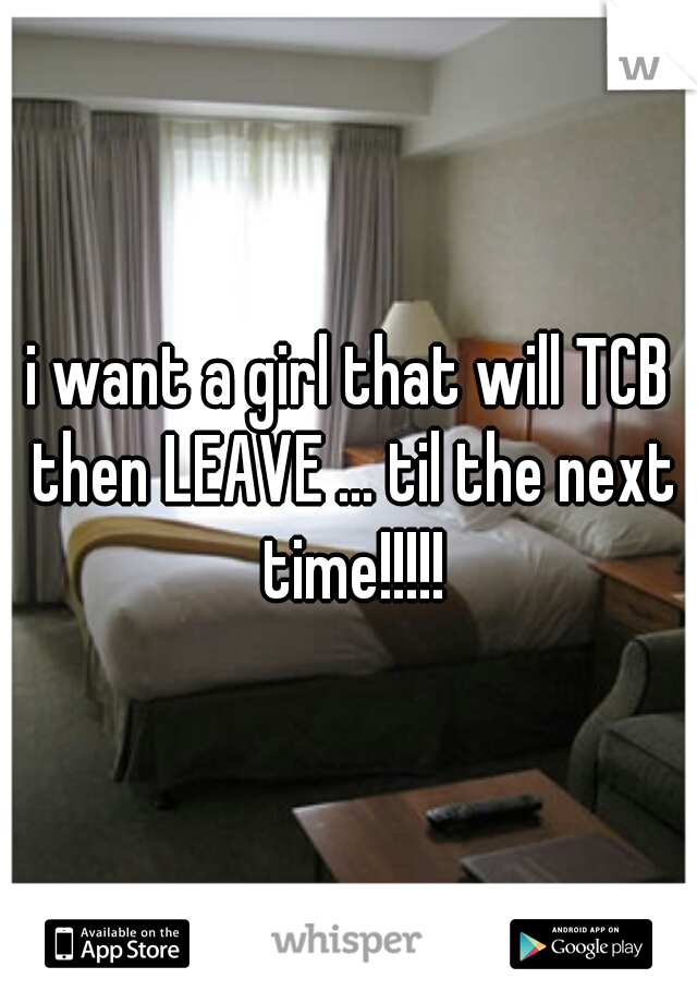 i want a girl that will TCB then LEAVE ... til the next time!!!!!